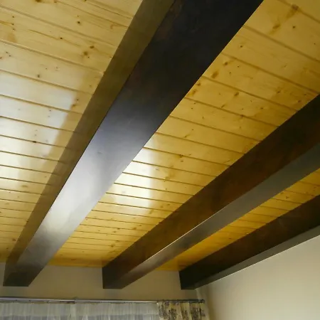 Cigueenas De San Cristobal *