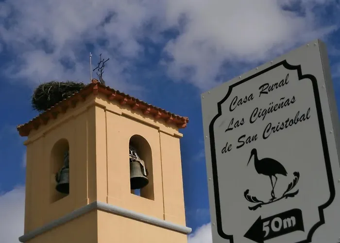 Cigueenas De San Cristobal *