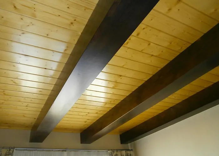 Cigueenas De San Cristobal *