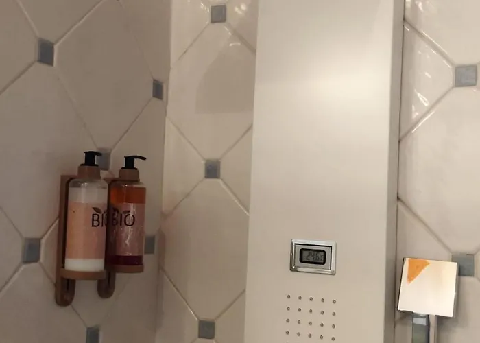 Cigueenas De San Cristobal *